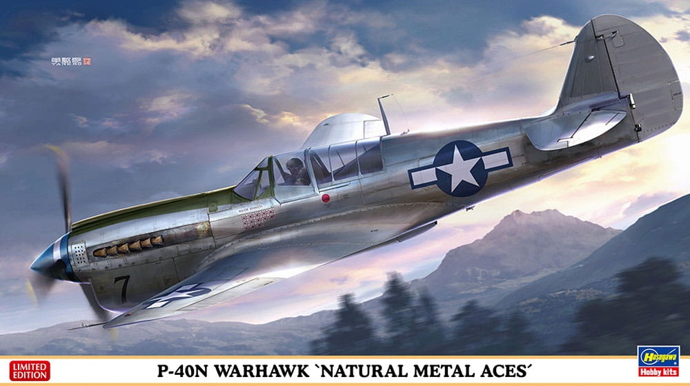Zdjęcie główne produktu P-40N Warhawk (Natural Metal Aces) 1:48 Hasegawa 07516