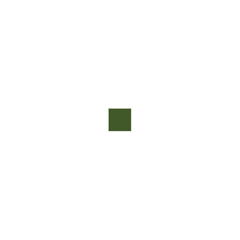 Zdjęcie dodatkowe produktu Pactra 032 (A32) Marine Green FS 34097 farba 10ml