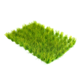 Zdjęcie dodatkowe produktu Wild Field Grass Tufts 12mm (70szt) Paint Forge PFTU1218