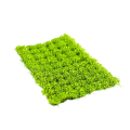 Zdjęcie dodatkowe produktu Light Green Flowers 6mm (70szt) Paint Forge PFFL2601