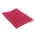 Zdjęcie dodatkowe produktu Moon Aster Flowers 6mm (70szt) Paint Forge PFFL2629
