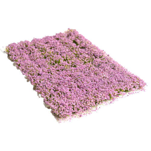 Zdjęcie dodatkowe produktu Violet Dream Flowers 6mm (70szt) Paint Forge PFFL2628
