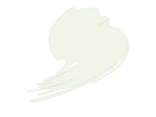 Hataka C049 Insignia White (FS17875, ANA 511) 17ml
