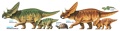 Zdjęcie dodatkowe produktu Chasmosaurus Diorama Set 1:35 Tamiya 60101