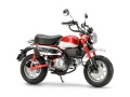 Zdjęcie dodatkowe produktu Honda Monkey 125 1:12 Tamiya 14134