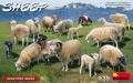 Zdjęcie główne produktu Sheep 1:35 MiniArt 38042
