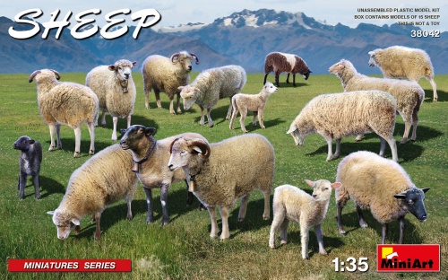 Sheep 1:35 MiniArt 38042