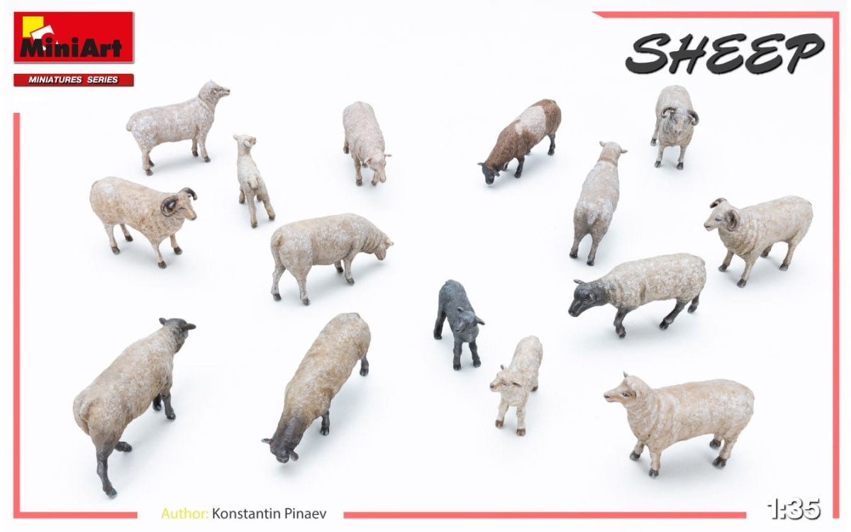 Zdjęcie dodatkowe produktu Sheep 1:35 MiniArt 38042