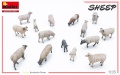 Zdjęcie dodatkowe produktu Sheep 1:35 MiniArt 38042