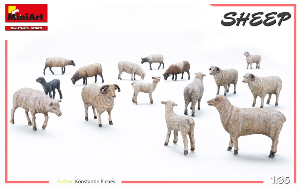 Zdjęcie dodatkowe produktu Sheep 1:35 MiniArt 38042