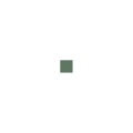 Zdjęcie dodatkowe produktu Pactra 031 (A31) Dark Green FS 34092 farba 10ml