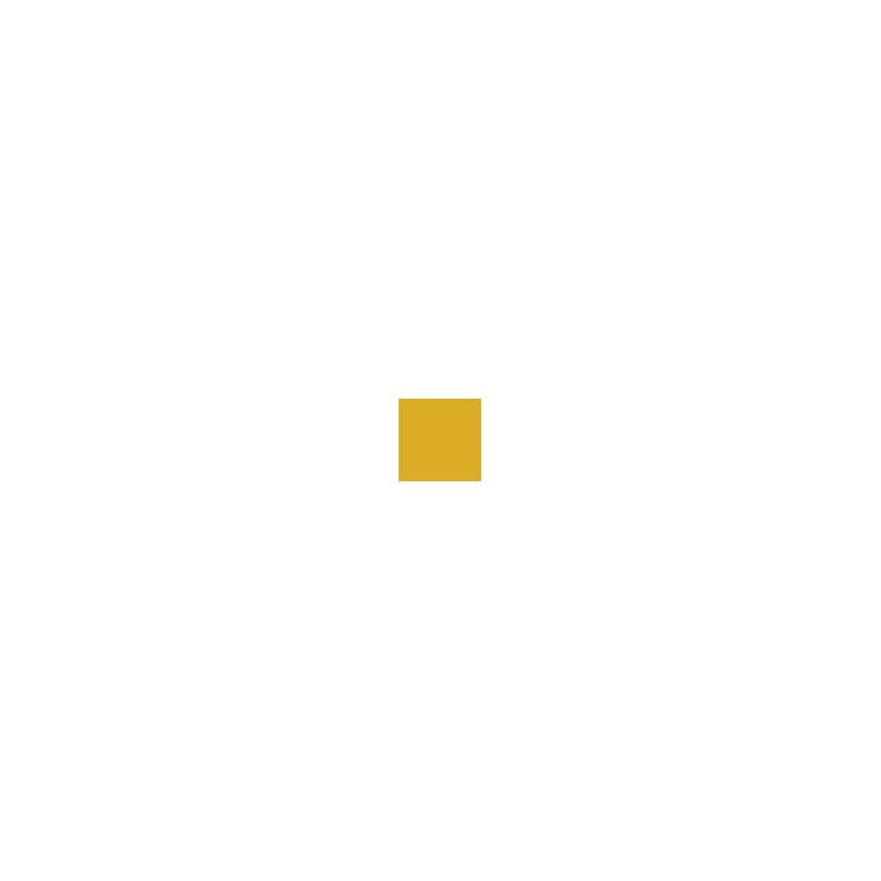 Zdjęcie dodatkowe produktu Pactra 072 (A72) Gold Gloss farba 10ml