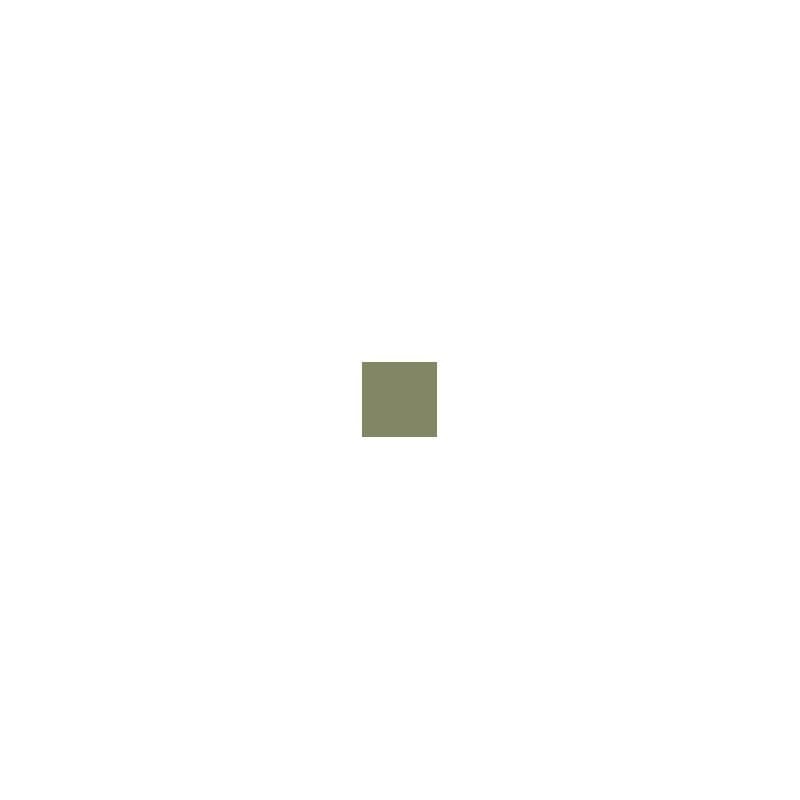 Zdjęcie dodatkowe produktu Pactra 035 (A35) Interior Green FS 34151 farba 10ml