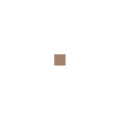 Zdjęcie dodatkowe produktu Pactra 024 (A24) Dark Tan FS 30219 farba 10ml