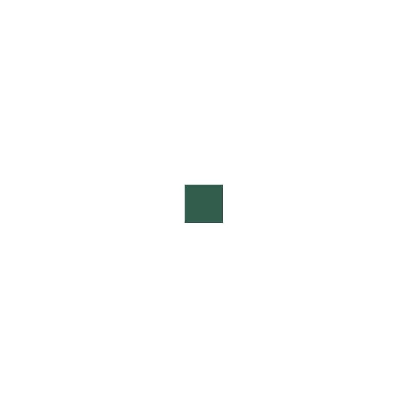 Zdjęcie dodatkowe produktu Pactra 029 (A29) Jungle Green FS 34079 farba 10ml