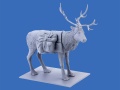 Zdjęcie dodatkowe produktu Finnish Riflemen (Winter 1940) 1:35 ICM 35566