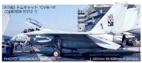F-14D Super Tomcat CVW-4 1:48 Hasegawa PT12