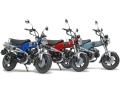 Zdjęcie dodatkowe produktu Honda Dax125 Tamiya Limited Edition 1:12 Tamiya 14142