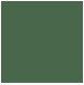 Zdjęcie dodatkowe produktu Pactra 033 (A33) Medium Green FS 34102 farba 10ml
