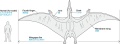 Zdjęcie dodatkowe produktu Pteranodon (Pterozaur) 1:35 Tamiya 60204