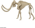 Zdjęcie dodatkowe produktu Mammoth (Mamut) Exploring Lab Nature Bandai