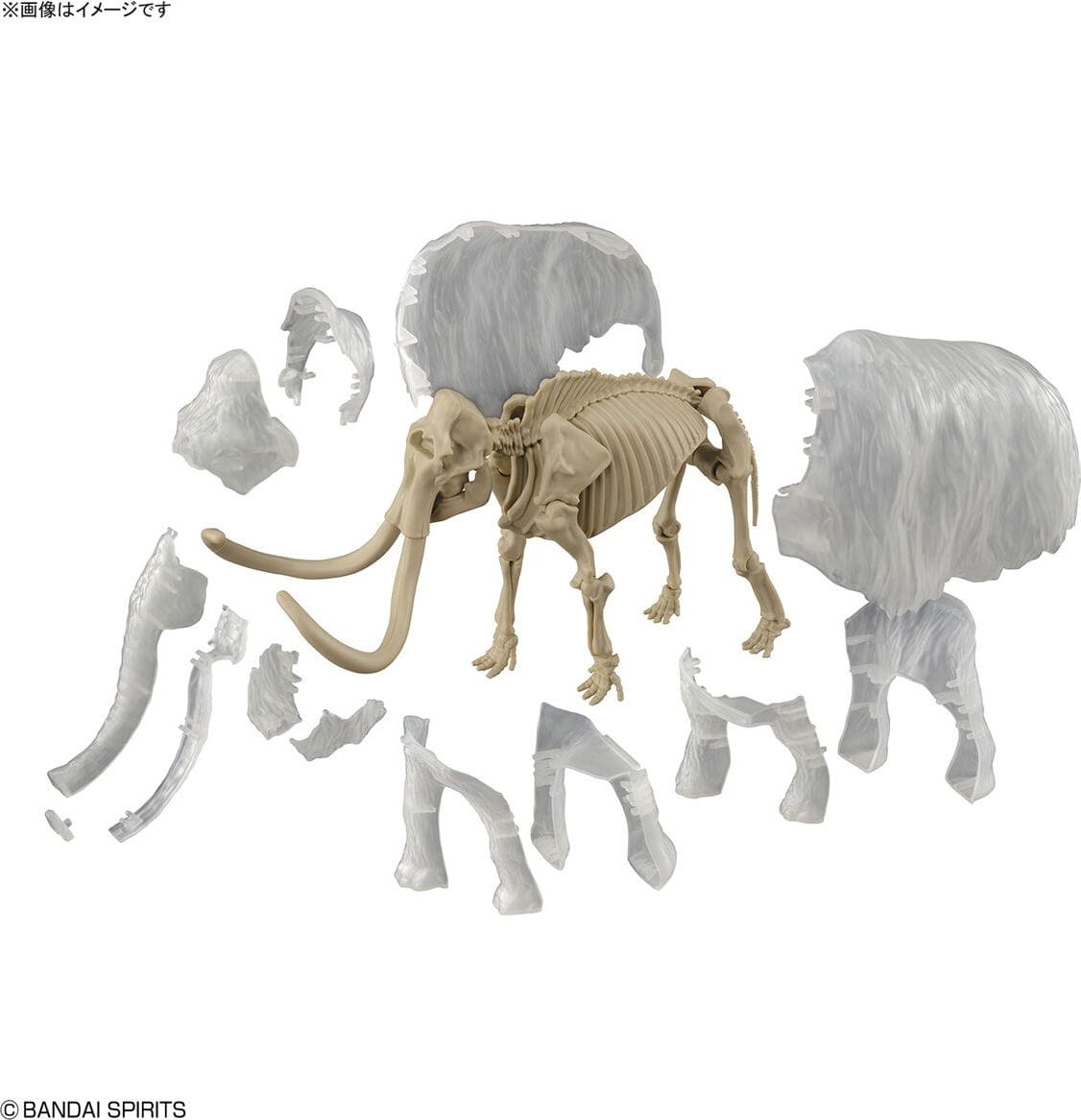 Zdjęcie dodatkowe produktu Mammoth (Mamut) Exploring Lab Nature Bandai