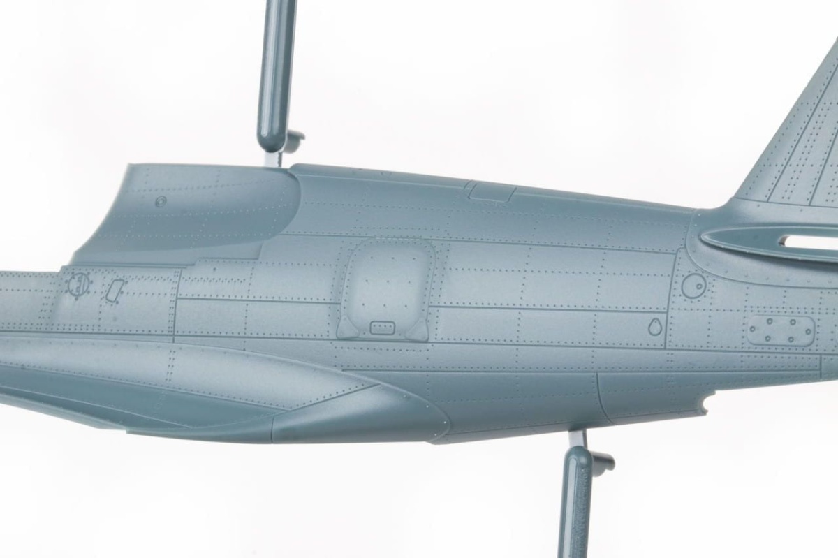 Zdjęcie dodatkowe produktu P-40E Warhawk Pacific Star Dual Combo Limited Edition 1:48 Eduard 11185