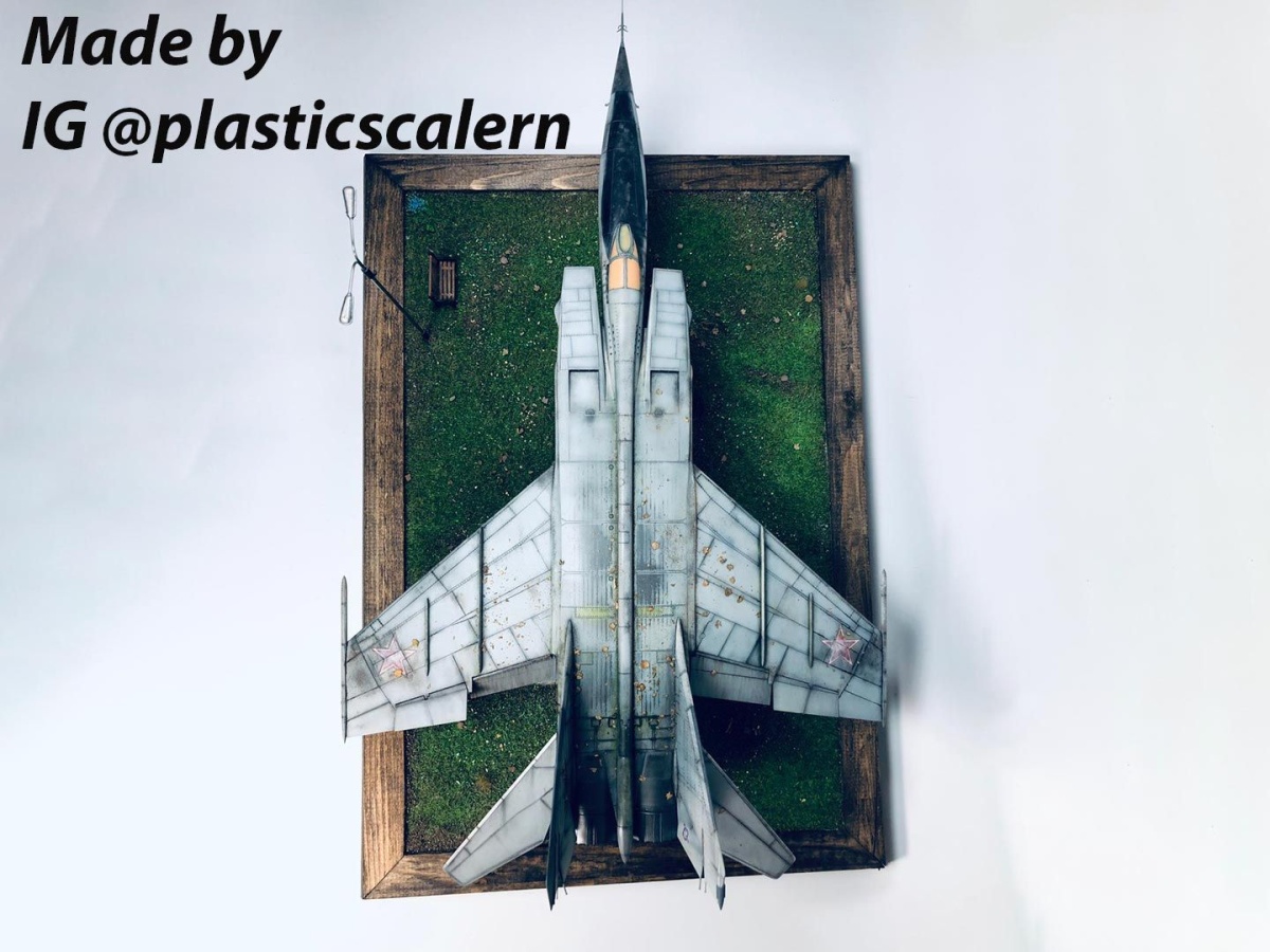 Zdjęcie dodatkowe produktu MiG-25 RBF Foxbat 1:48 ICM 48904