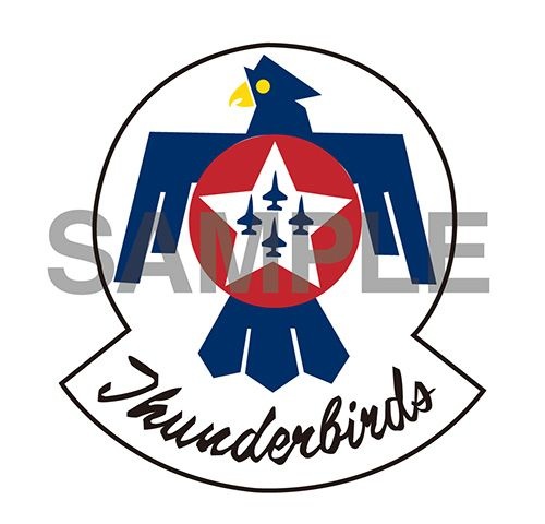 Zdjęcie dodatkowe produktu F-16C (Block 52) Fighting Falcon "Thunderbirds" 1:72 Hasegawa 02495