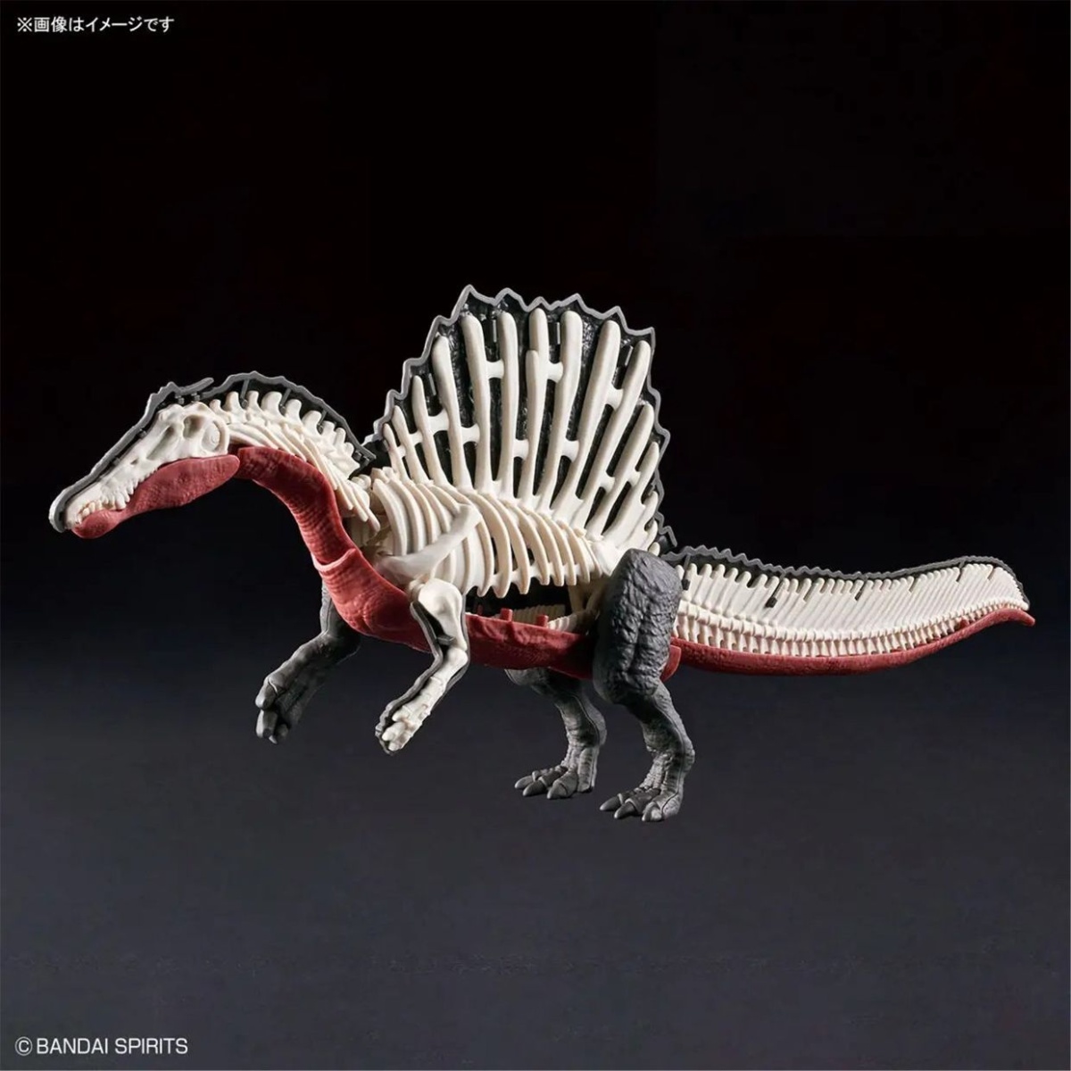 Zdjęcie dodatkowe produktu Spinosaurus Bandai 65427
