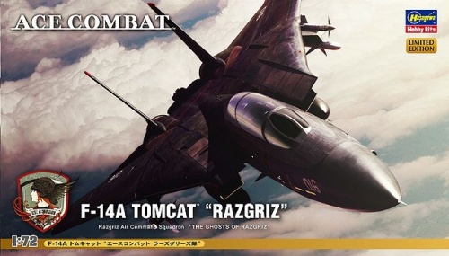 F-14A Tomcat "Razgriz" 1:72 Hasegawa SP313