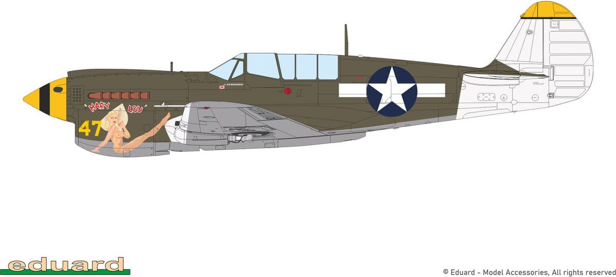 Zdjęcie P-40N Warhawk 1:48 Eduard 84210